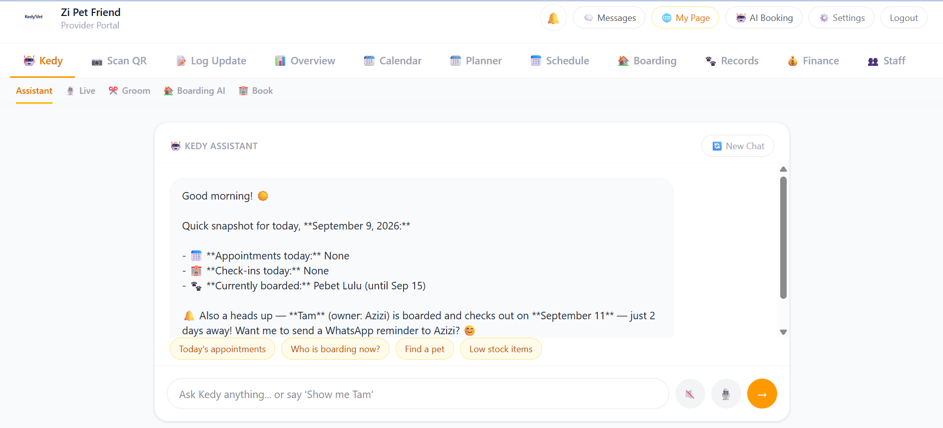 Kedy AI Assistant